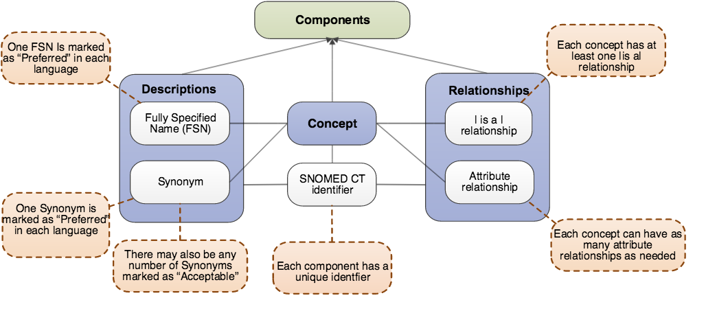 logicalModel