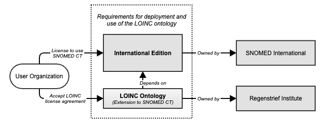 Access to the LOINC Extension