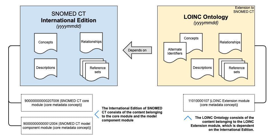 LOINC Extension to SNOMED CT